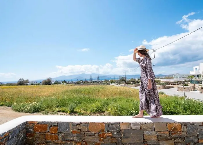 Naxos Agia Anna Sunset View Olive House Apartamento *