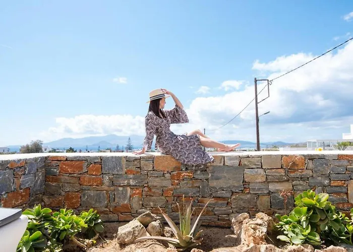 Lejlighed Naxos Agia Anna Sunset View Olive House *