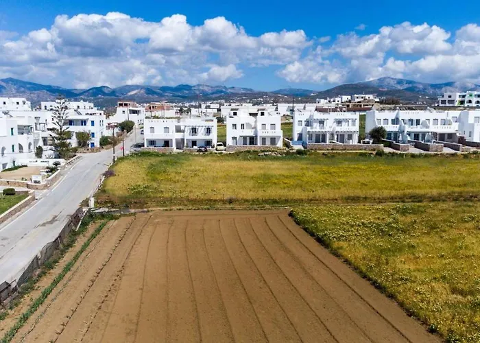 Lejlighed Naxos Agia Anna Sunset View Olive House *