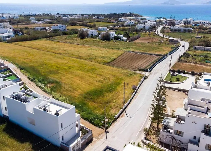 Lejlighed Naxos Agia Anna Sunset View Olive House